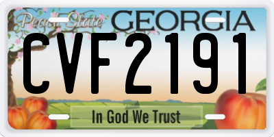 GA license plate CVF2191
