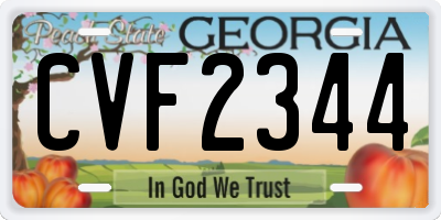 GA license plate CVF2344