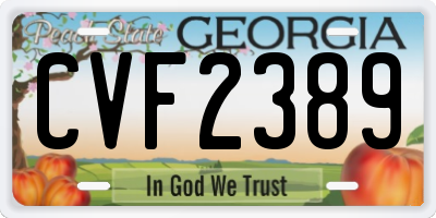 GA license plate CVF2389