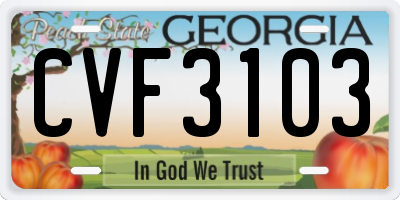 GA license plate CVF3103