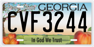 GA license plate CVF3244