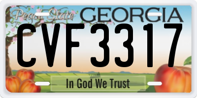 GA license plate CVF3317