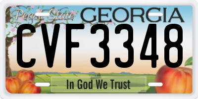 GA license plate CVF3348