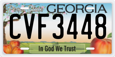 GA license plate CVF3448