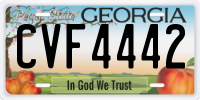 GA license plate CVF4442