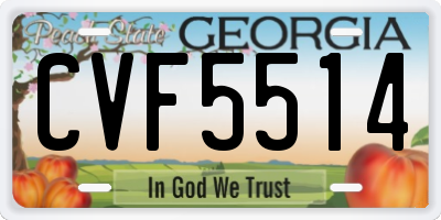 GA license plate CVF5514