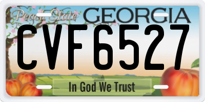 GA license plate CVF6527