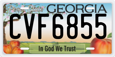 GA license plate CVF6855