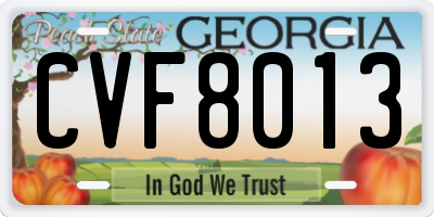 GA license plate CVF8013