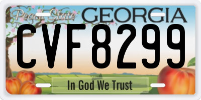 GA license plate CVF8299
