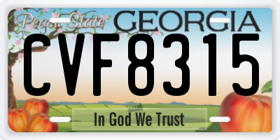 GA license plate CVF8315