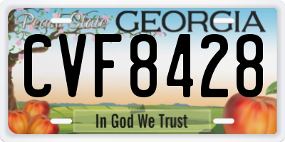 GA license plate CVF8428