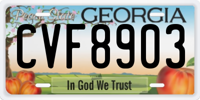 GA license plate CVF8903