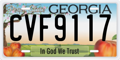 GA license plate CVF9117