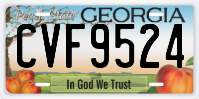 GA license plate CVF9524