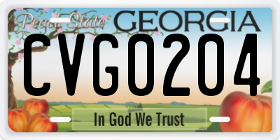GA license plate CVG0204