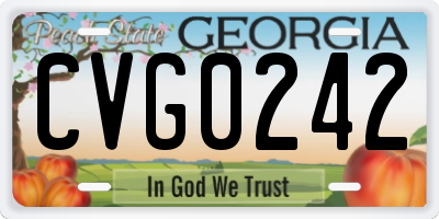 GA license plate CVG0242