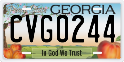 GA license plate CVG0244