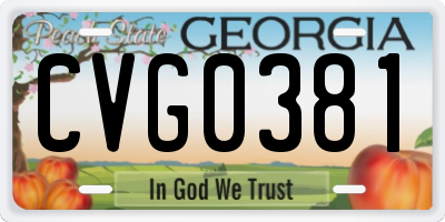 GA license plate CVG0381