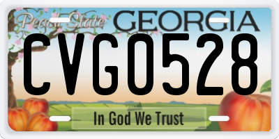 GA license plate CVG0528