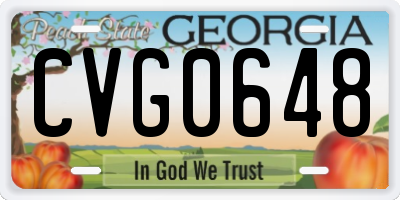 GA license plate CVG0648