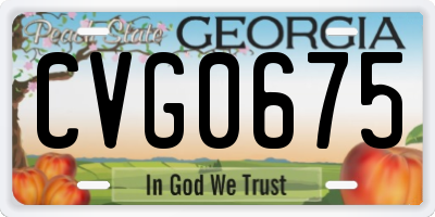 GA license plate CVG0675