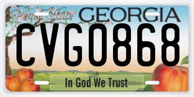 GA license plate CVG0868