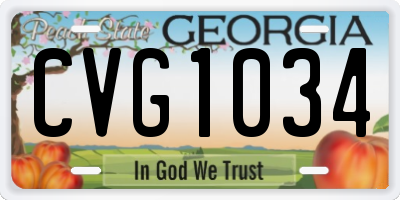 GA license plate CVG1034