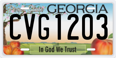 GA license plate CVG1203