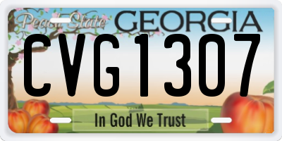 GA license plate CVG1307