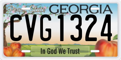 GA license plate CVG1324
