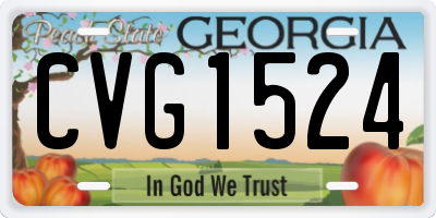 GA license plate CVG1524