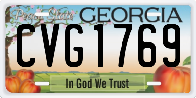GA license plate CVG1769