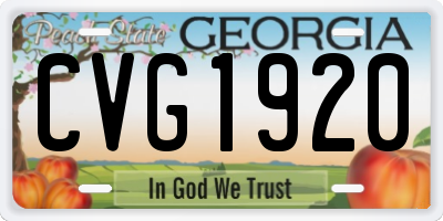 GA license plate CVG1920