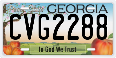 GA license plate CVG2288