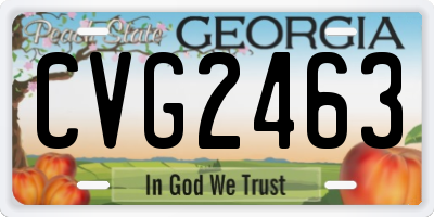 GA license plate CVG2463