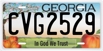GA license plate CVG2529