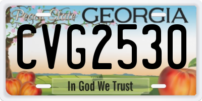 GA license plate CVG2530