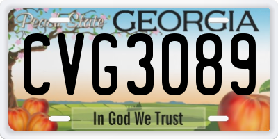 GA license plate CVG3089
