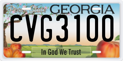 GA license plate CVG3100
