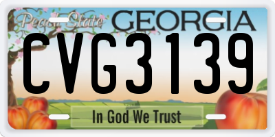 GA license plate CVG3139