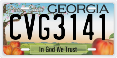 GA license plate CVG3141