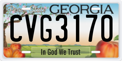 GA license plate CVG3170