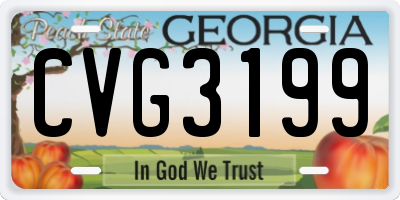 GA license plate CVG3199