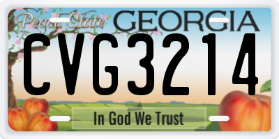 GA license plate CVG3214