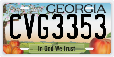GA license plate CVG3353