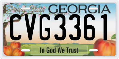 GA license plate CVG3361