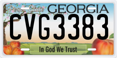 GA license plate CVG3383