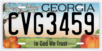 GA license plate CVG3459