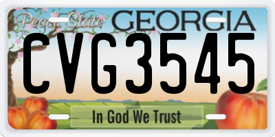GA license plate CVG3545